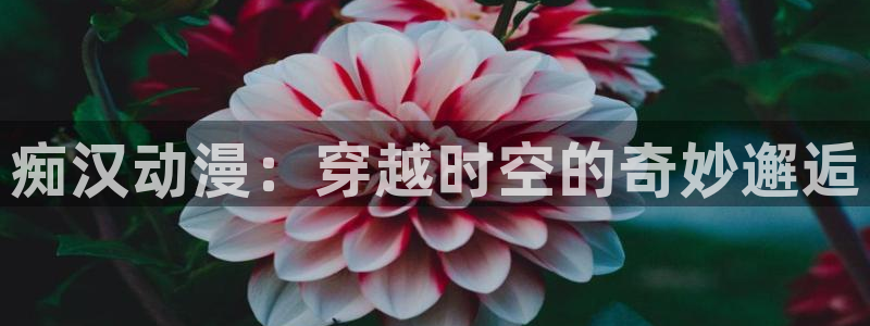 韩漫漫画怎么看：痴汉动漫：穿越时空的奇妙邂逅配图